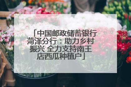中国邮政储蓄银行菏泽分行：助力乡村振兴 全力支持南王店西瓜种植户