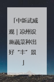 中新武威观｜凉州设施蔬菜种出好“丰”景
