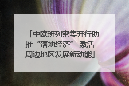 中欧班列密集开行助推“落地经济” 激活周边地区发展新动能