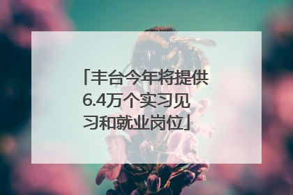 丰台今年将提供6.4万个实习见习和就业岗位