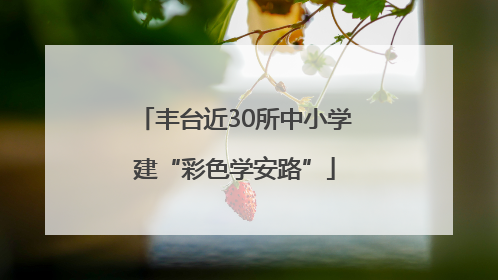 丰台近30所中小学建“彩色学安路”
