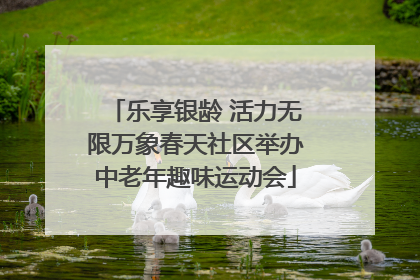 乐享银龄 活力无限万象春天社区举办中老年趣味运动会