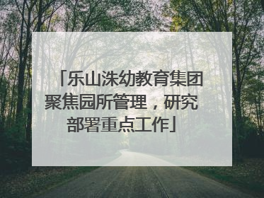 乐山洙幼教育集团聚焦园所管理，研究部署重点工作