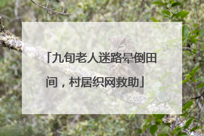 九旬老人迷路晕倒田间，村居织网救助