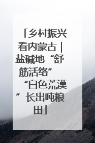 乡村振兴看内蒙古｜盐碱地“舒筋活络” “白色荒漠”长出吨粮田