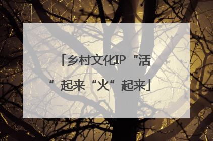 乡村文化IP“活”起来“火”起来