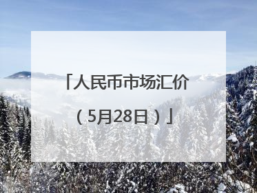 人民币市场汇价（5月28日）