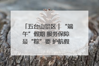 五台山景区｜“端午”假期 服务保障最“粽”要 护航假期“不打烊”