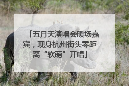 五月天演唱会暖场嘉宾，现身杭州街头零距离“软萌”开唱