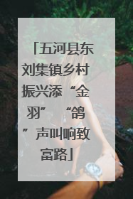 五河县东刘集镇乡村振兴添“金羽” “鸽”声叫响致富路