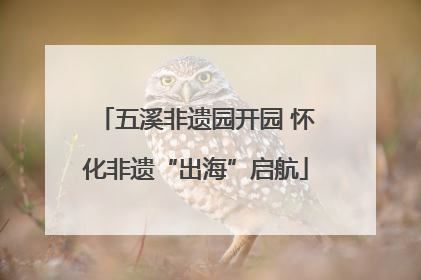 五溪非遗园开园 怀化非遗“出海”启航