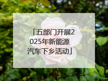五部门开展2025年新能源汽车下乡活动