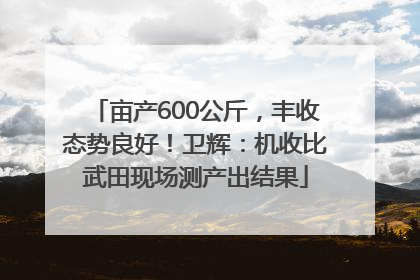 亩产600公斤，丰收态势良好！卫辉：机收比武田现场测产出结果