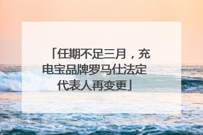 任期不足三月，充电宝品牌罗马仕法定代表人再变更