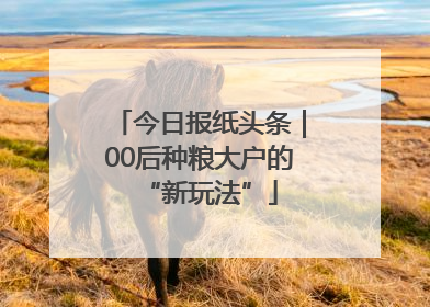 今日报纸头条｜00后种粮大户的“新玩法”