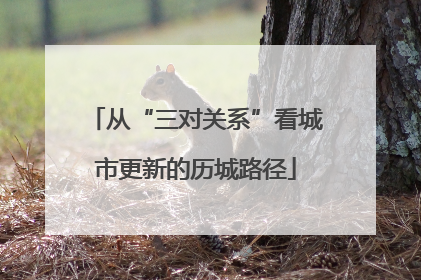 从“三对关系”看城市更新的历城路径