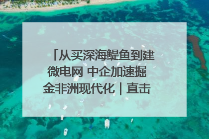 从买深海鳀鱼到建微电网 中企加速掘金非洲现代化｜直击中非经贸博览会