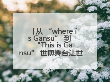 从 “where is Gansu” 到 “This is Gansu” 世博舞台让世界认识了甘肃