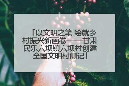 以文明之笔 绘就乡村振兴新画卷——甘肃民乐六坝镇六坝村创建全国文明村侧记