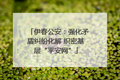 伊春公安：强化矛盾纠纷化解 织密基层“平安网”