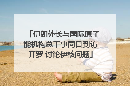 伊朗外长与国际原子能机构总干事同日到访开罗 讨论伊核问题