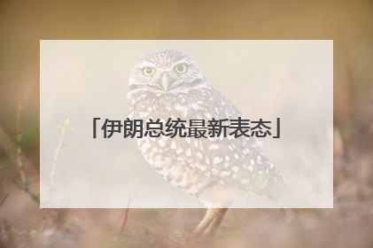 伊朗总统最新表态