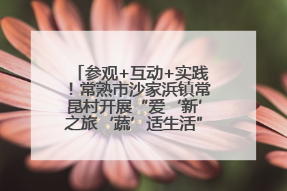 参观+互动+实践！常熟市沙家浜镇常昆村开展“爱‘新’之旅‘蔬’适生活”参观学习活动