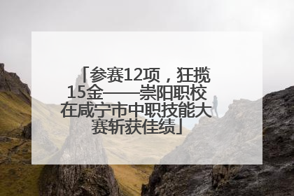 参赛12项，狂揽15金——崇阳职校在咸宁市中职技能大赛斩获佳绩