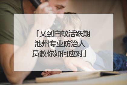 又到白蚁活跃期 池州专业防治人员教你如何应对