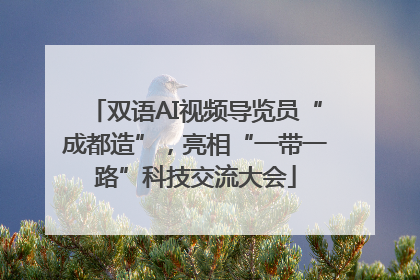 双语AI视频导览员“成都造”，亮相“一带一路”科技交流大会