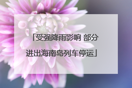 受强降雨影响 部分进出海南岛列车停运