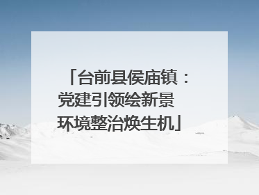 台前县侯庙镇：党建引领绘新景 环境整治焕生机