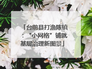台前县打渔陈镇：“小网格”铺就基层治理新图景