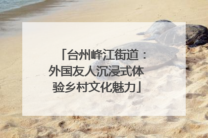 台州峰江街道：外国友人沉浸式体验乡村文化魅力
