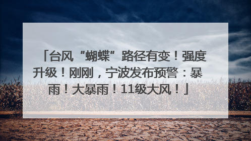 台风“蝴蝶”路径有变！强度升级！刚刚，宁波发布预警：暴雨！大暴雨！11级大风！