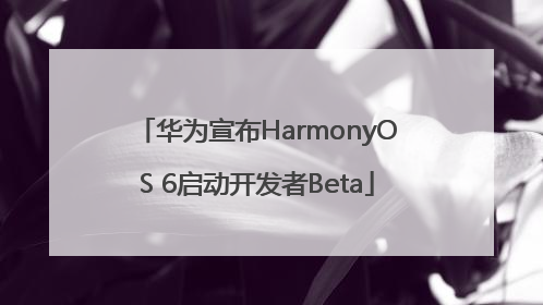 华为宣布HarmonyOS 6启动开发者Beta