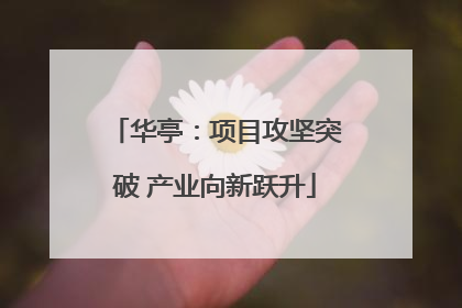 华亭：项目攻坚突破 产业向新跃升