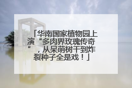 华南国家植物园上演“多肉界玫瑰传奇”，从呆萌树干到炸裂种子全是戏！