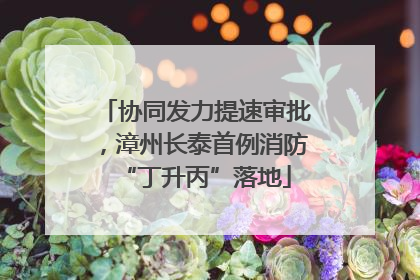 协同发力提速审批，漳州长泰首例消防“丁升丙”落地