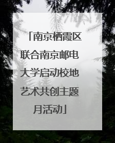 南京栖霞区联合南京邮电大学启动校地艺术共创主题月活动
