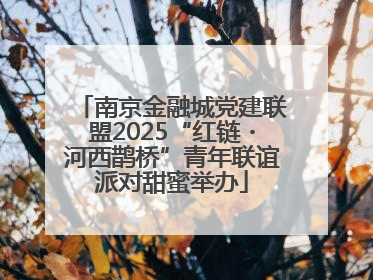 南京金融城党建联盟2025“红链・河西鹊桥”青年联谊派对甜蜜举办