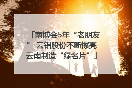 南博会5年“老朋友” 云铝股份不断擦亮云南制造“绿名片”