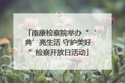 南康检察院举办“‘典’亮生活 守护美好”检察开放日活动