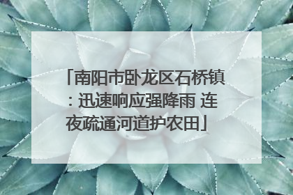 南阳市卧龙区石桥镇：迅速响应强降雨 连夜疏通河道护农田