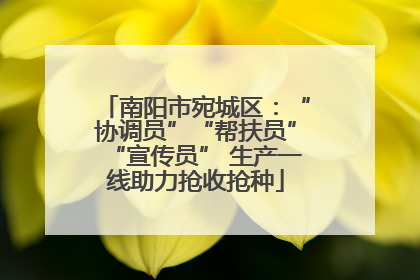南阳市宛城区：“协调员”“帮扶员”“宣传员” 生产一线助力抢收抢种