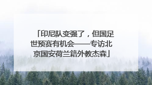 印尼队变强了，但国足世预赛有机会——专访北京国安荷兰籍外教杰森