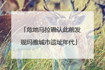 危地马拉确认此前发现玛雅城市遗址年代