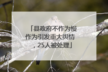 县政府不作为慢作为引发重大舆情，25人被处理