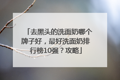 去黑头的洗面奶哪个牌子好，最好洗面奶排行榜10强？攻略