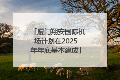 厦门翔安国际机场计划在2025年年底基本建成